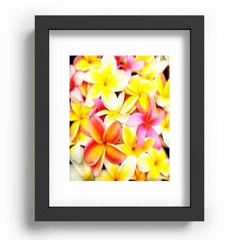 Deb Haugen Plumeria Dream Recessed Framing Rectangle