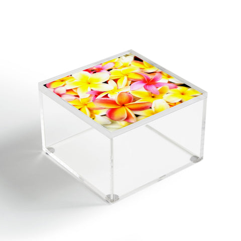 Deb Haugen Plumeria Dream Acrylic Box