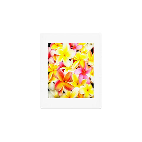 Deb Haugen Plumeria Dream Art Print