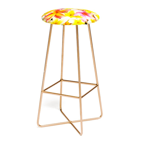 Deb Haugen Plumeria Dream Bar Stool