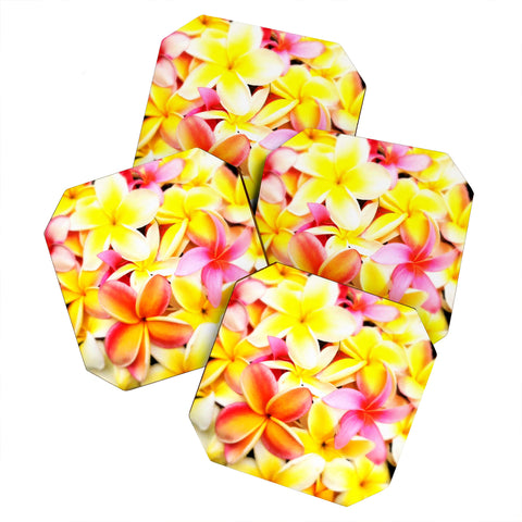 Deb Haugen Plumeria Dream Coaster Set
