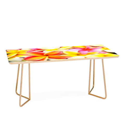 Deb Haugen Plumeria Dream Coffee Table