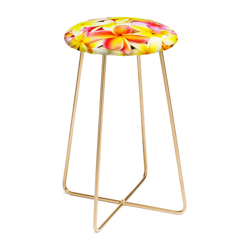 Deb Haugen Plumeria Dream Counter Stool