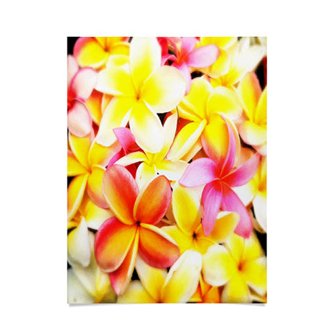 Deb Haugen Plumeria Dream Poster