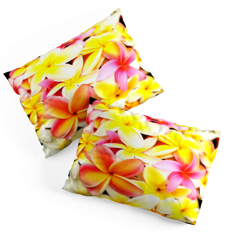 Deb Haugen Plumeria Dream Pillow Shams