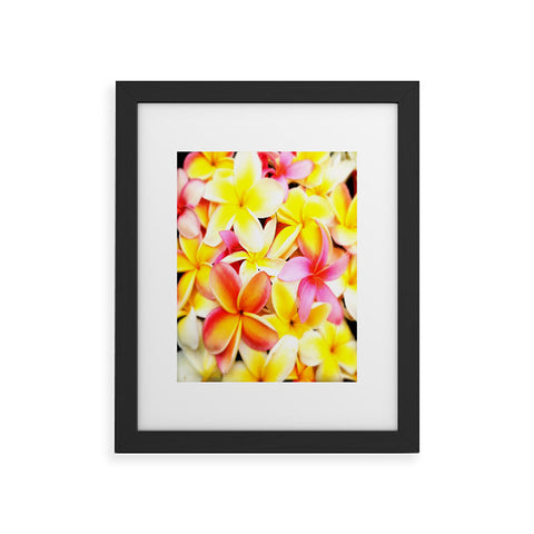 Deb Haugen Plumeria Dream Framed Art Print