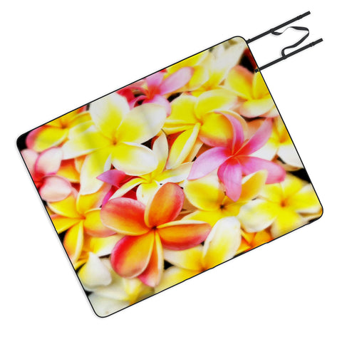 Deb Haugen Plumeria Dream Picnic Blanket