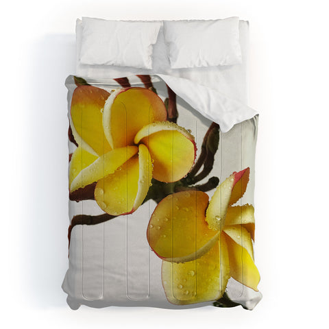 Deb Haugen rain plumeria Comforter