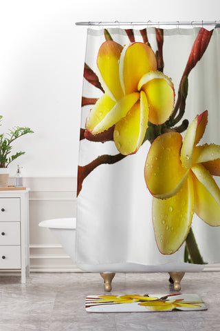 Deb Haugen rain plumeria Shower Curtain And Mat