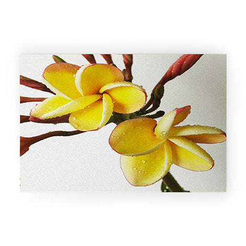 Deb Haugen rain plumeria Welcome Mat
