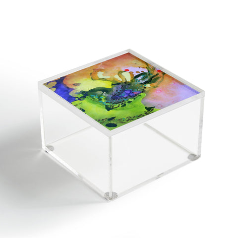 Deb Haugen Sexy Acrylic Box