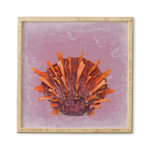 Deb Haugen Shell Orange Framed Wall Art