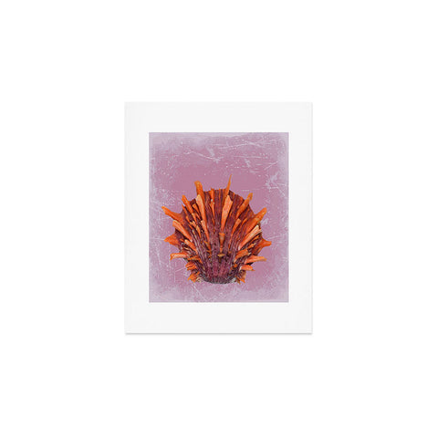 Deb Haugen Shell Orange Art Print