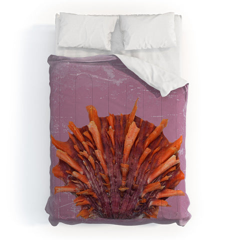 Deb Haugen Shell Orange Comforter