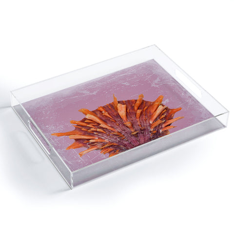 Deb Haugen Shell Orange Acrylic Tray