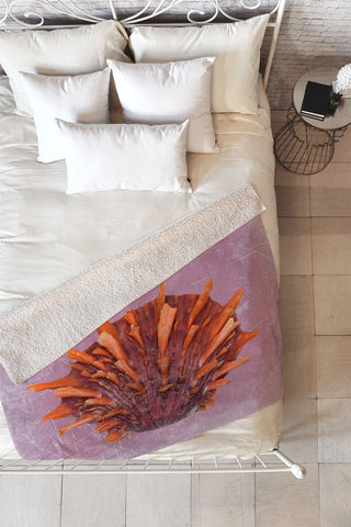Deb Haugen Shell Orange Fleece Throw Blanket