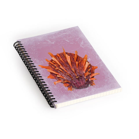 Deb Haugen Shell Orange Spiral Notebook