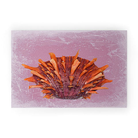 Deb Haugen Shell Orange Welcome Mat