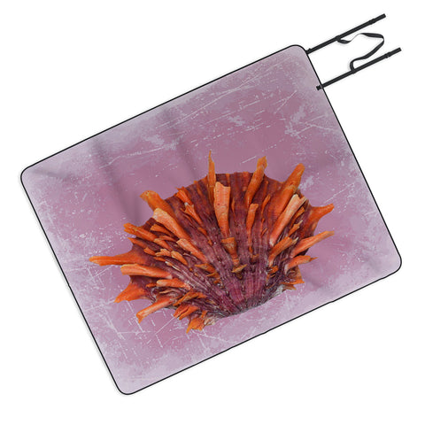 Deb Haugen Shell Orange Picnic Blanket