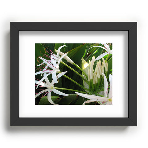 Deb Haugen spider lily Recessed Framing Rectangle