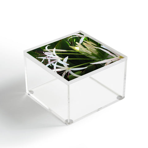 Deb Haugen spider lily Acrylic Box