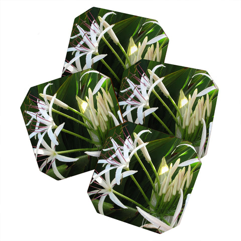 Deb Haugen spider lily Coaster Set