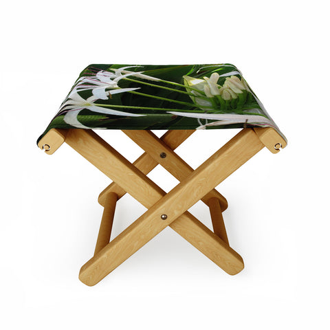 Deb Haugen spider lily Folding Stool
