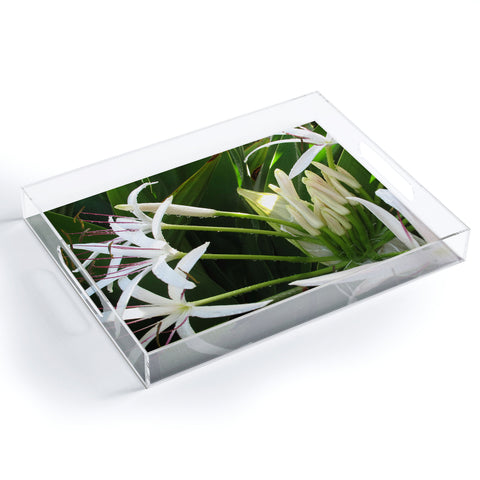 Deb Haugen spider lily Acrylic Tray