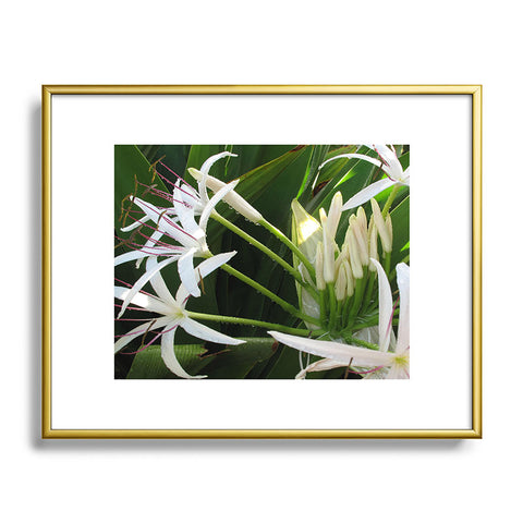 Deb Haugen spider lily Metal Framed Art Print