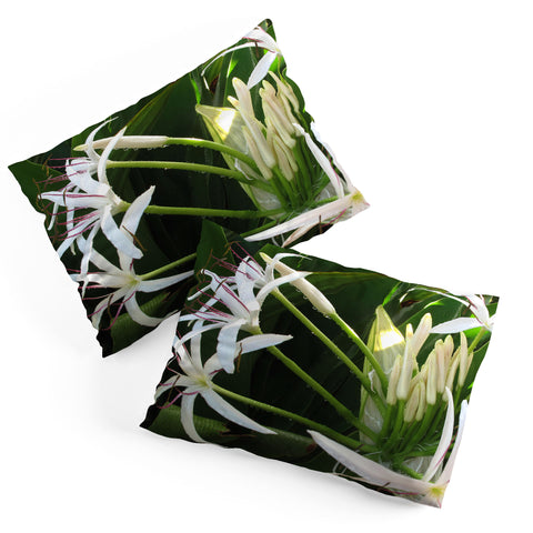 Deb Haugen spider lily Pillow Shams