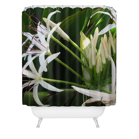 Deb Haugen spider lily Shower Curtain