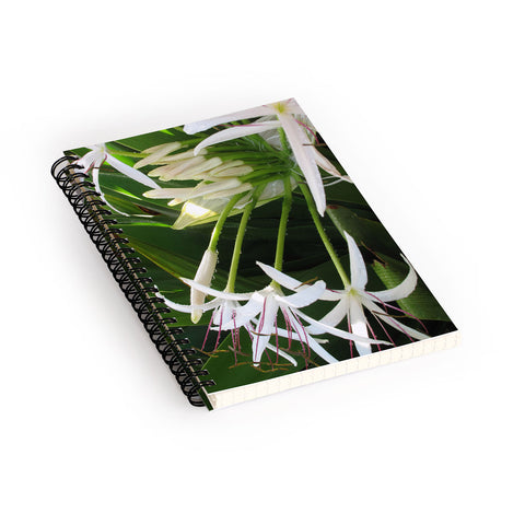 Deb Haugen spider lily Spiral Notebook