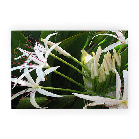 Deb Haugen spider lily Welcome Mat