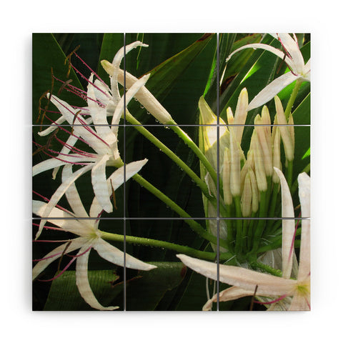 Deb Haugen spider lily Wood Wall Mural