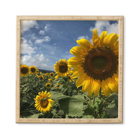 Deb Haugen sunflower love Framed Wall Art