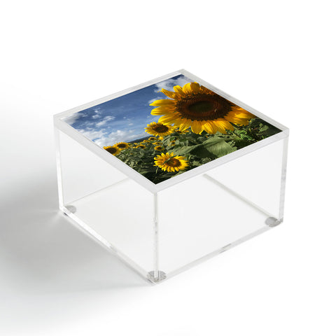 Deb Haugen sunflower love Acrylic Box