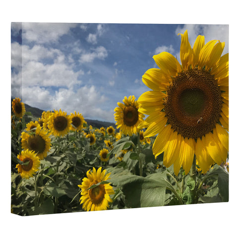 Deb Haugen sunflower love Art Canvas