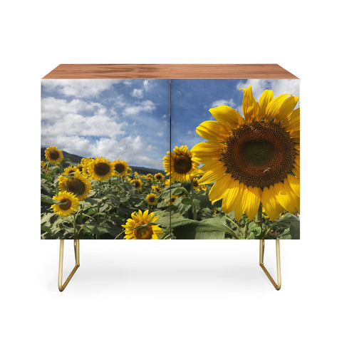 Deb Haugen sunflower love Credenza