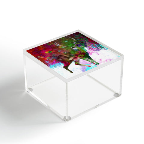 Deniz Ercelebi Blinded Acrylic Box