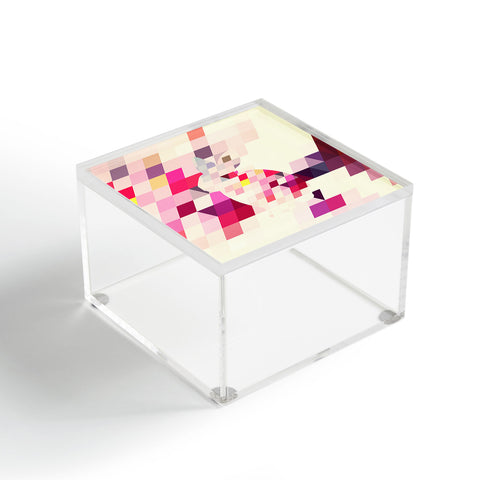 Deniz Ercelebi Bunny Acrylic Box