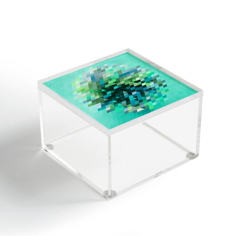 Deniz Ercelebi Cluster 2 Acrylic Box