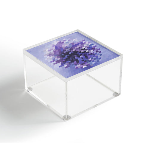 Deniz Ercelebi Cluster 4 Acrylic Box