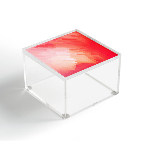 Deniz Ercelebi Coral 5 Acrylic Box