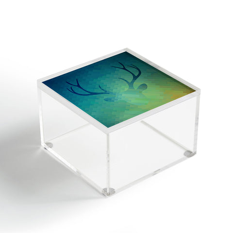 Deniz Ercelebi Dh 1 Acrylic Box