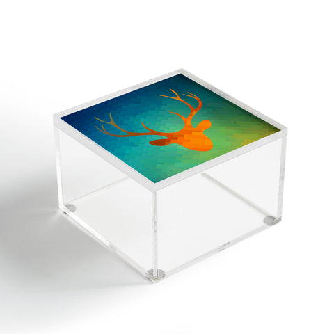 Deniz Ercelebi Dh 2 Acrylic Box