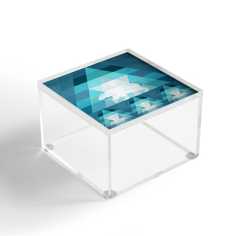 Deniz Ercelebi Digi Polar Acrylic Box