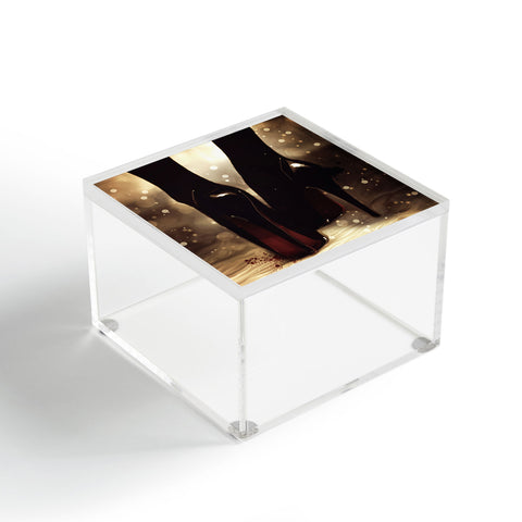 Deniz Ercelebi Heels Acrylic Box
