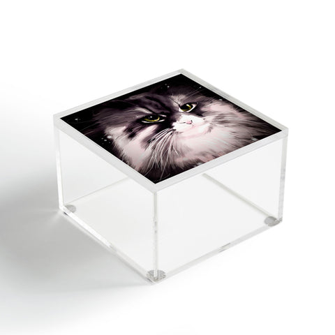 Deniz Ercelebi Isabella Acrylic Box