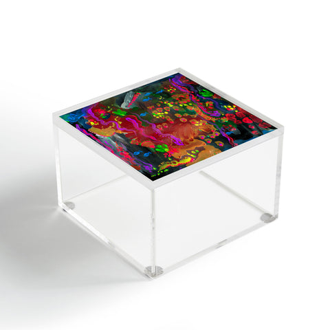 Deniz Ercelebi Reef Acrylic Box