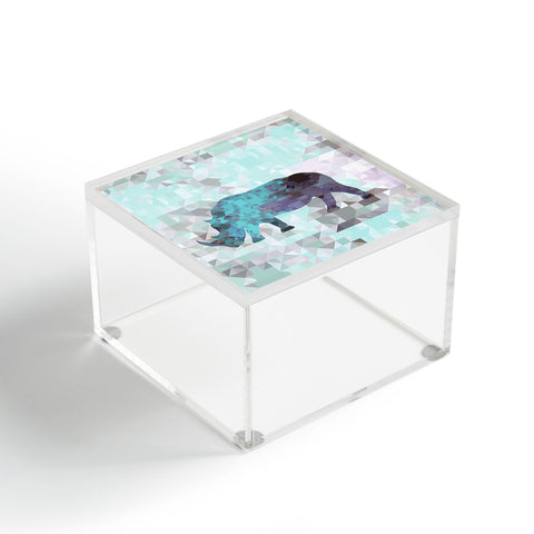 Deniz Ercelebi Rhino 2 Acrylic Box